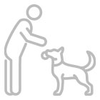 Dog Sitting Service Information